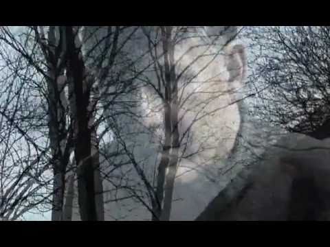 Nemam vremena za cekanje, Vojislav Mitic