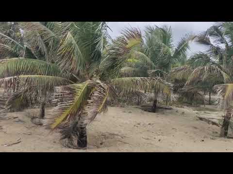 Chitrapura Beach Kulai Mangalore ❤️