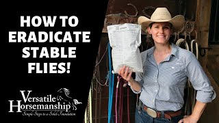 HOW TO ERADICATE STABLE FLIES // Versatile Horsemanship