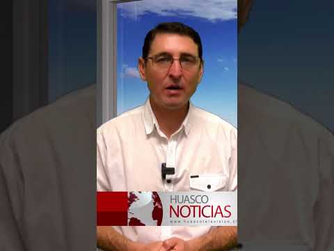 🫒  Cuarta Versión del Día Mundial del Olivo 🌿