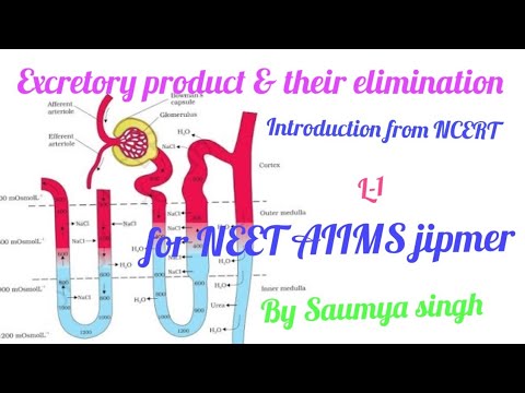 Excretory Product & their Elimination| NCERT NEET AIIMS& other exam @neetsaumyasingh8096