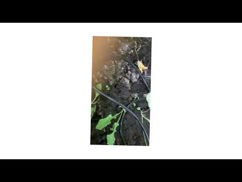 Трубка 3*5 мм ПВХ - фото 1 - id-p2693108907