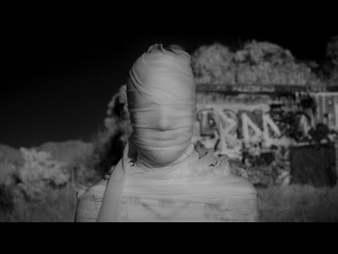 BEASTWARS - LEVITATE (official video)