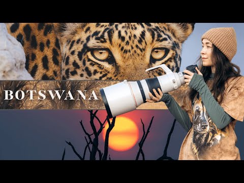 This Is What a Safari in Botswana Is Really Like | Okavango Delta & Savuti