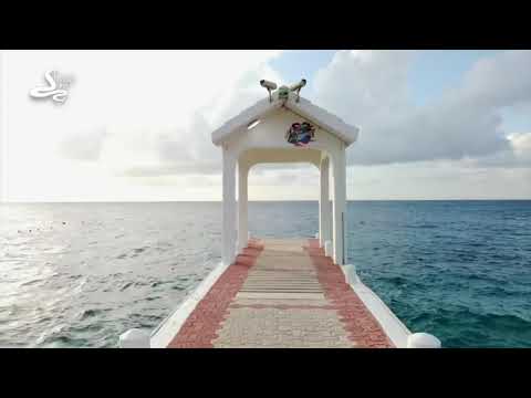 Videos del Cozumel Resort Tm By Wyndham 4★ en Cozumel, MéxicoVerPrecios5CerrarConsulta por Whatsapp 🇦🇷BookingTripadvisorExpediaTripSkyscanner