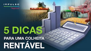 Custos da colheita: 5 dicas para calcular gastos na lavoura
