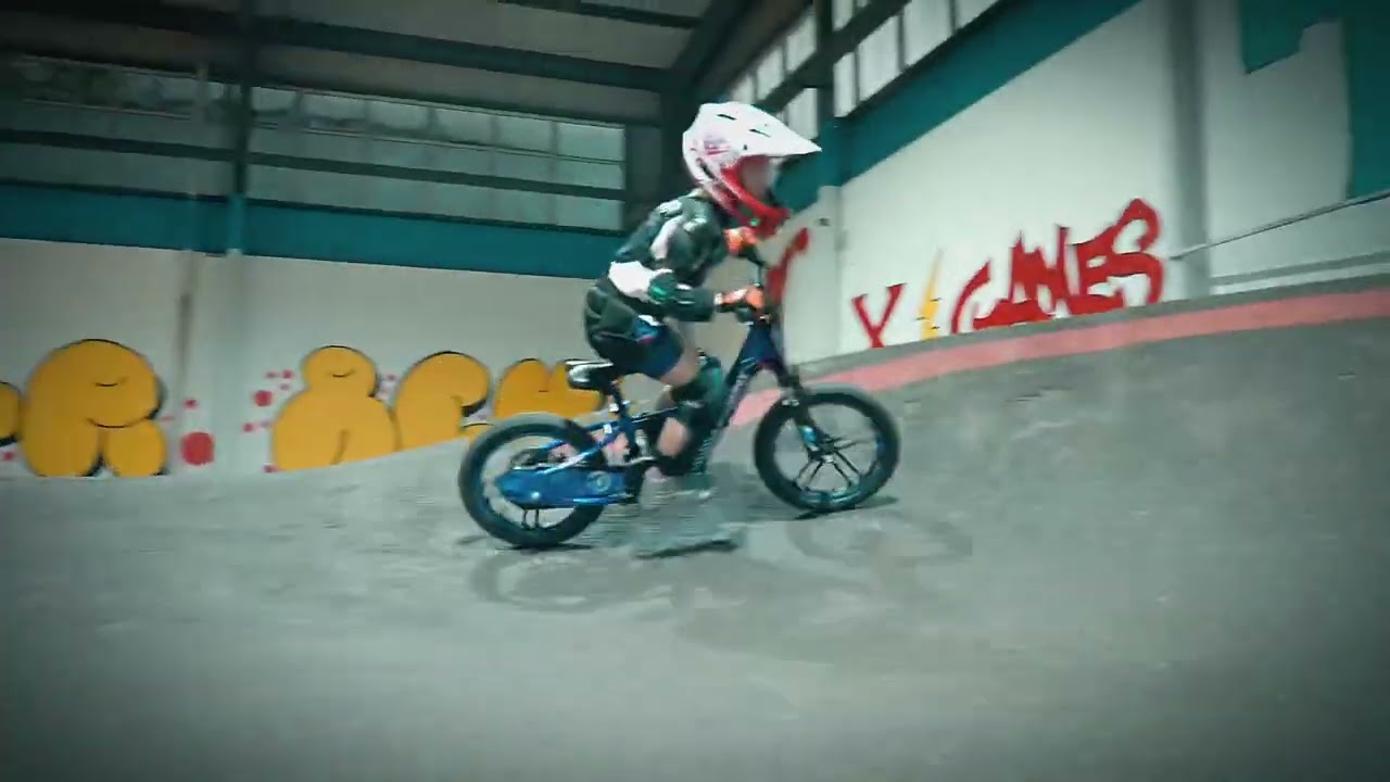 AIII Racing Grade Electric Dirt Bike for Kids, 350W Brushless Motor Electric Motorcycle