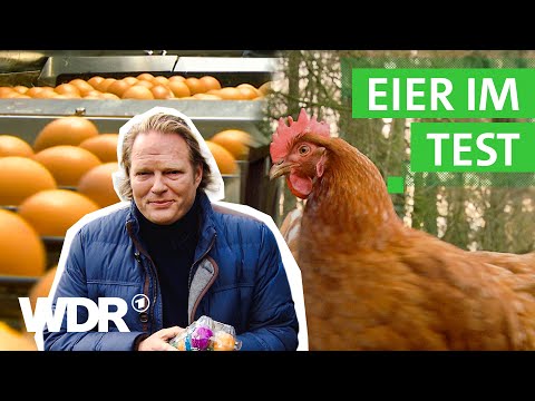 Eier - Woher kommen sie und wie glücklich sind die Hühner? | 2020 | Der Vorkoster | WDR