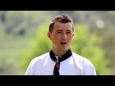 Cătălin Doinaș - Crihalma