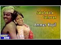 Ilayaraja Hits | Amman Koyil Song | Sakalakala Vallavan Tamil Movie | Kamal Haasan | Ambika