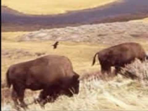 Calling Out Your Name - Rich Mullins