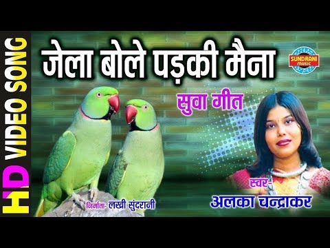 Jela Bolay Padki Maina - जेला बोले पड़की मैना || Alka Chandrakar || Gaura Gauri Darshan || CG Song