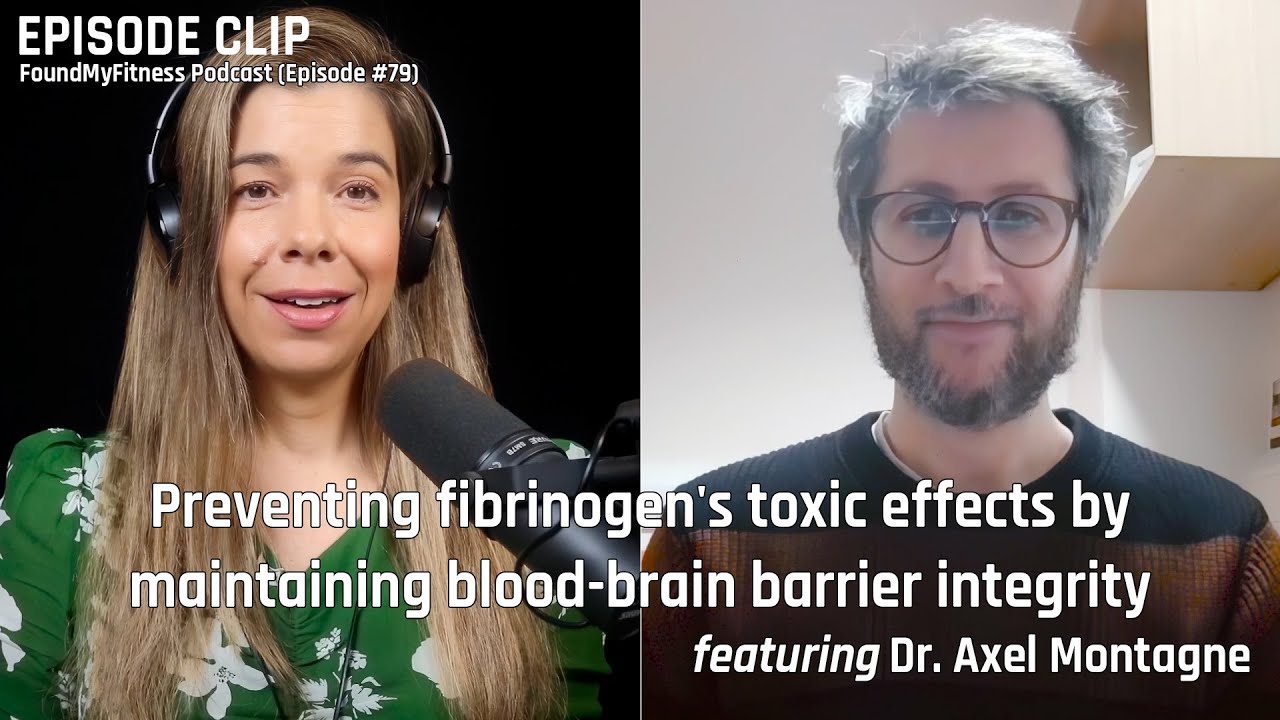 Why we need a blood-brain barrier to prevent neurotoxicity — can we prevent fibrinogen deposition? | Axel Montagne Ph.D.