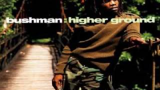 Bushman - Robbery Aggravation