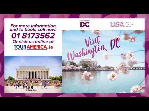 Discover Washington, DC with Tour America