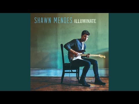 Three Empty Words – Shawn Mendes