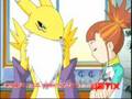 Digimon Tamers Making Breakfast