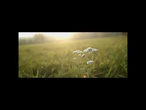 Test Yashica lens DSB28mm+BMPCC4k