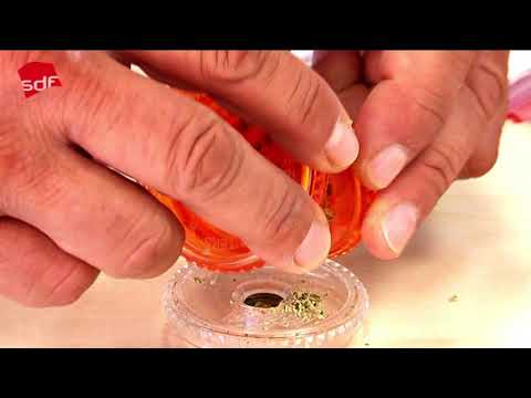 Bericht über Tagung zum Thema Cannabis in der Onkologie - Info medizinisches Cannabis