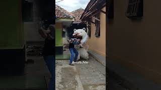 Download lagu om edi kasih umpan ke can macanan mp3 Download lagu om edi kasih umpan ke can macanan mp3