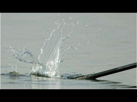 VIDEO: Ruder-EM: Zeidler mit Sieg im Einer-Halbfinale