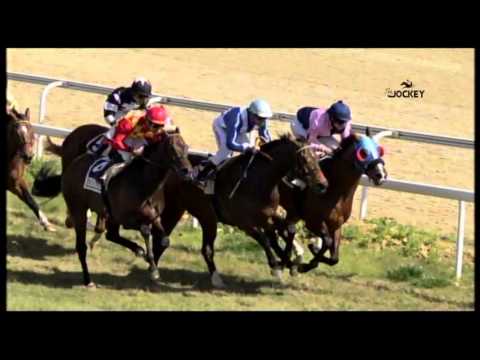 5 Carrera, premio Día de Andalucía-Ciudad de Dos Hermanas, 28 de febrero 2016 - G. H. de Andalucía