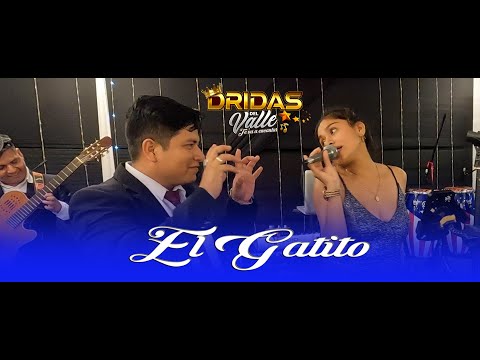 Dridas Del Valle - El Gatito ( Huayno )