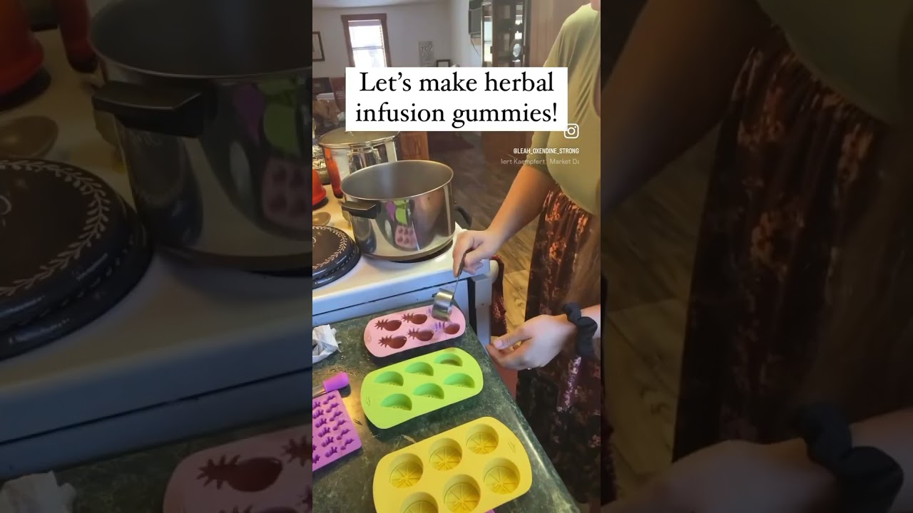 Let’s make herbal infusion gummies!