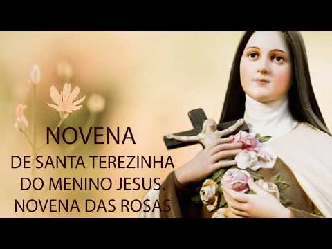 Novena de Santa Teresinha do menino Jesus - Novena das rosas (para todos os 9 dias)