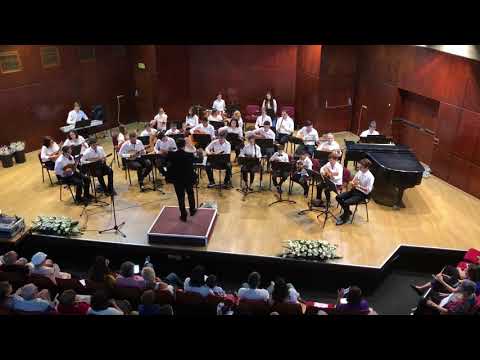 "The Toy" V.Cosma Arr. by Teddy Shushankov