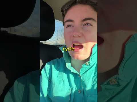 Farmer's Guide to Ewe Cycles