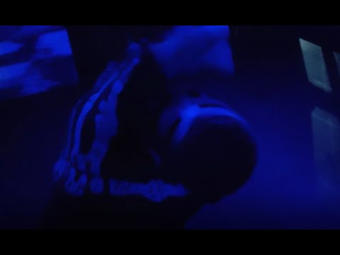 Video de la banda stereo pug