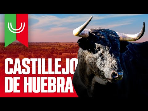 CASTILLEJO DE HUEBRA | TOROS 2023 🐂