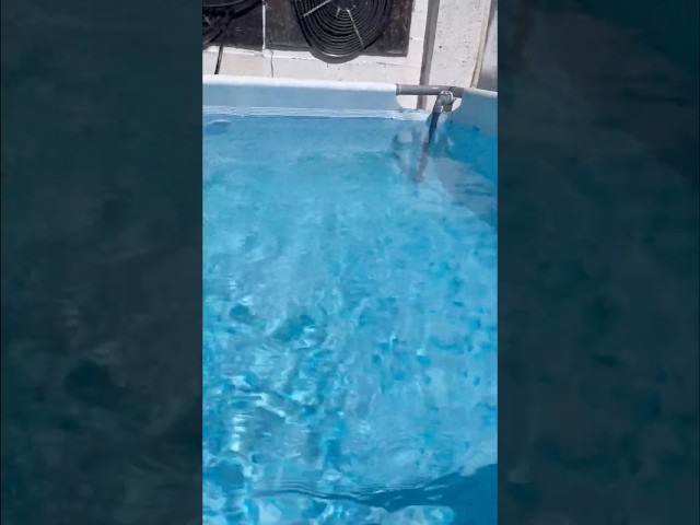 Vídeo relacionado con Flintronic Nido de Avispas, 2 Piezas Señuelo de Nido de Avispas Nido de Avispas, Impermeable Trampa Avispas Exterior, Se Utiliza en Hogares y Jardines al Aire Libre para Repeler Avispas, Amarillo