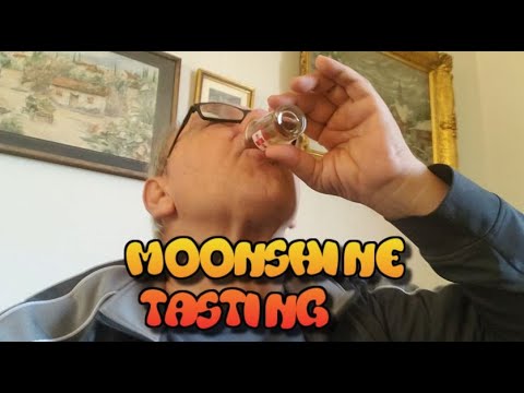 EP224 Trip To Serbian Napa Valley,  Sremski Karlovci #Serbia