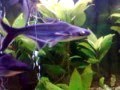 aquarium 160l mono 16.12.2014