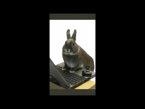 FREE glaive x osquinn x 100 gecs x hyperpop type beat "bye"