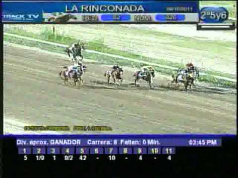 Resumen Domingo, 09 de Octubre de 2011 - La Rinconada