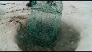 Закон тюменской области о рыбалке