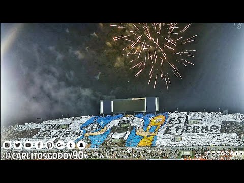 "Recibimiento | Olimpia vs Liga de Quito | Libertadores 2019" Barra: La Barra 79 • Club: Olimpia • País: Paraguay