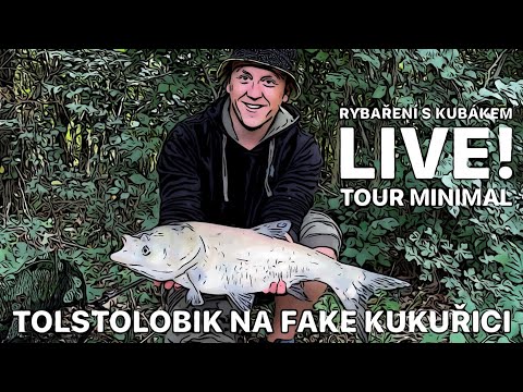 TOLSTOLOBIK NA FAKE KUKUŘICI - RYBAŘENÍ PO PRÁCI NA PÁR HODIN - Malé revíry - TOUR MINIMAL - LIVE!