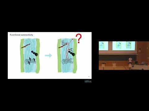 06 Modelling fish recruitment potential of lithophilic fish in restored rivers – D. Farò (IBG, DE)