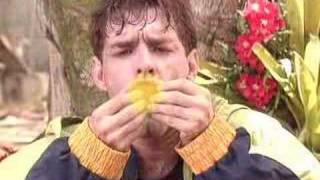 Download lagu Abertura do especial Deu a Louca na Fantasia mp3 Download lagu Abertura do especial Deu a Louca na Fantasia mp3