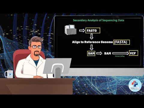 Essential Genomic File Formats for Beginners: FASTA, FASTQ, SAM/BAM, and VCF Explained