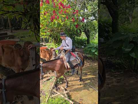 La Catrina Dijo Chente. #elsalvador #chalatenango #nature #naturaleza #campo