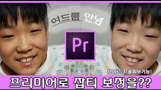 14강- 프리미어프로!  '프리미어' 로만  잡티 제거! 피부보정! 여드름 안녕~~