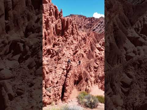 Acsibi Seclantas Salta Argentina 🌵 💦 🌿 ⛰️
