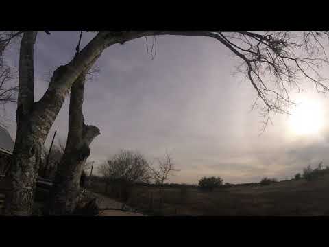 immersion-vortex-150mini-for-the-love-of-trees