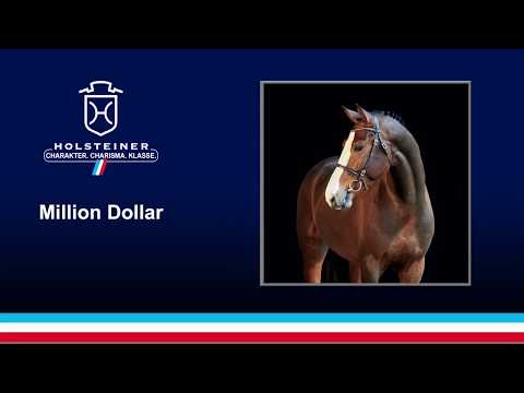 Million Dollar v. Plot Blue-Vigo d'Arsouilles in Herfart