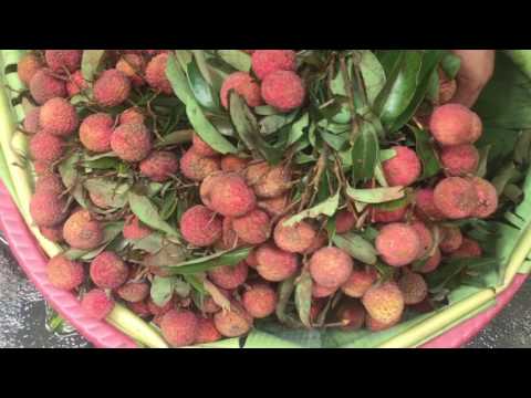 Asian Street Food - Street Food In Phnom Penh Market - Street Food In Cambodia ( Country)
